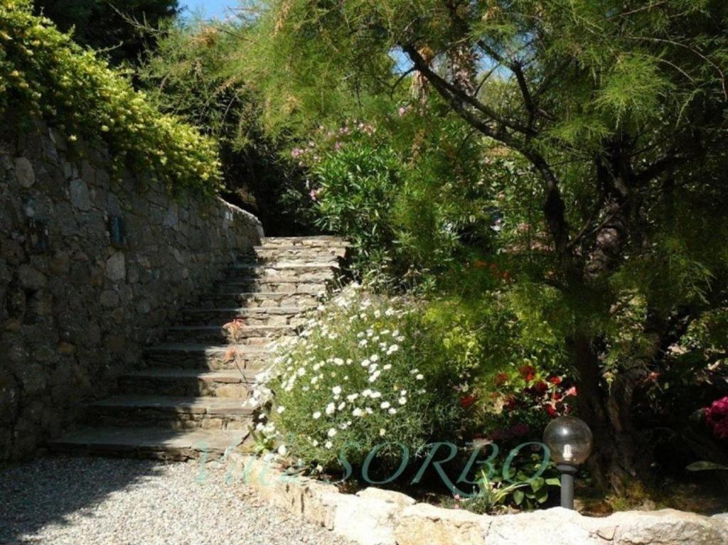 Sorbo - Vue Sur - 2 Appartement